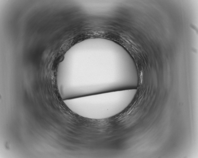 X0000096401395200801240953
