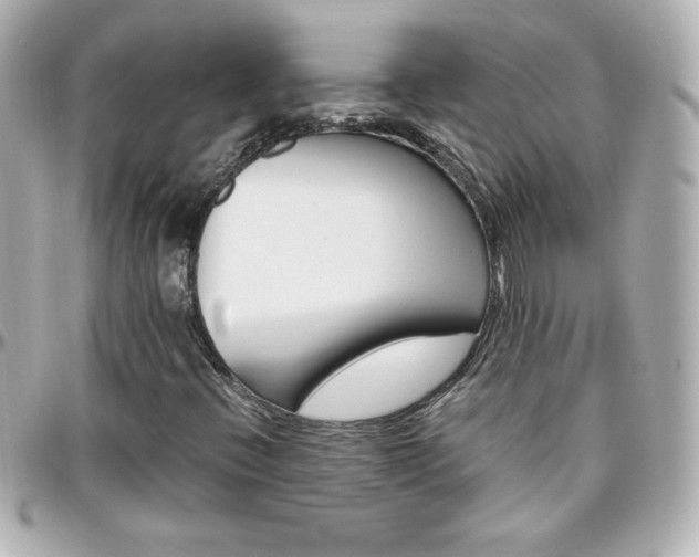X0000096401396200801240953