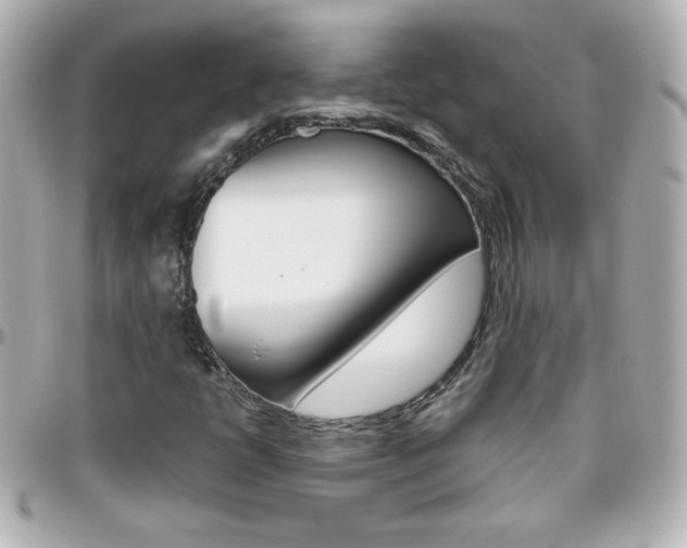 X0000096401398200801240953