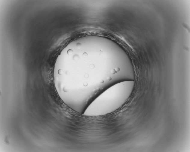X0000096401399200801240953