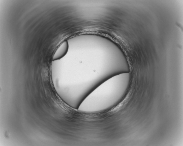 X0000096401401200801240953