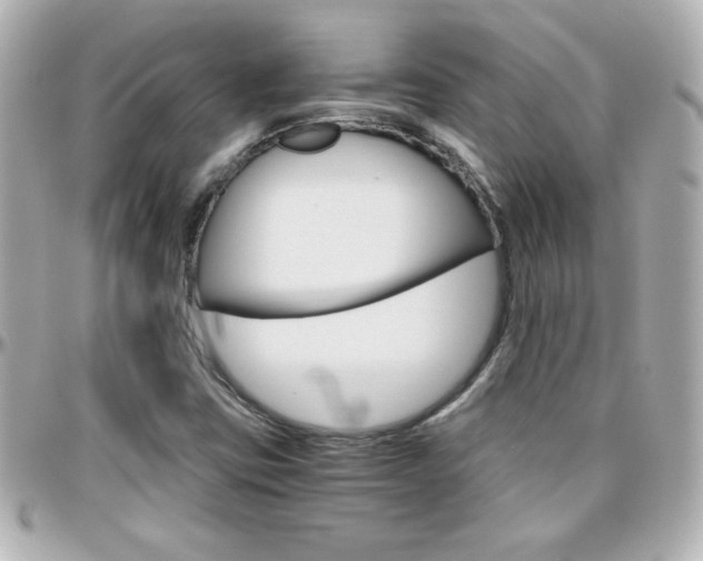 X0000096401403200801240953