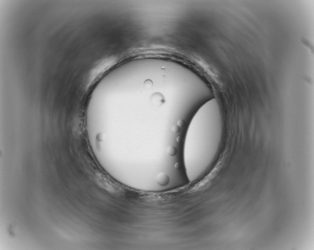 X0000096401405200801240953