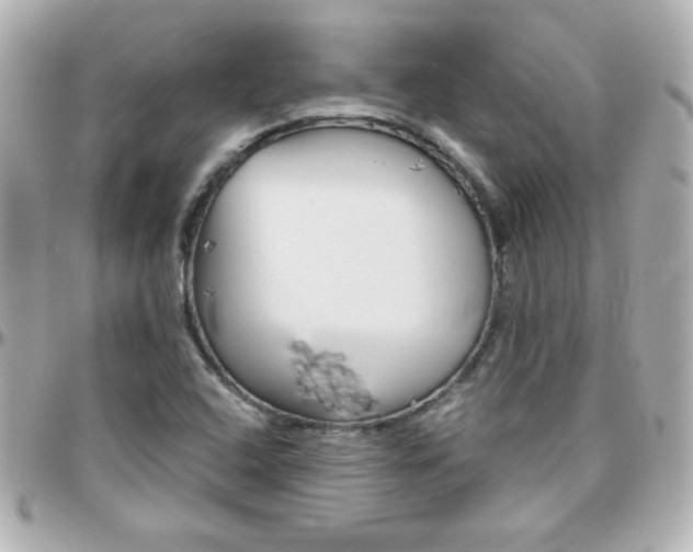 X0000096401408200801240953