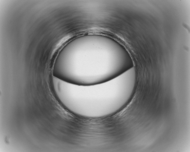 X0000096401410200801240953