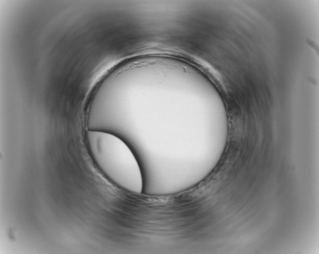 X0000096401415200801240953