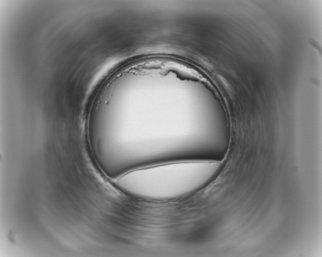 X0000096401416200801240953