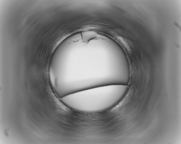 X0000096401417200801240953