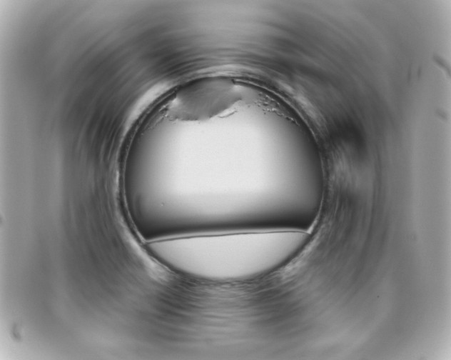 X0000096401418200801240953