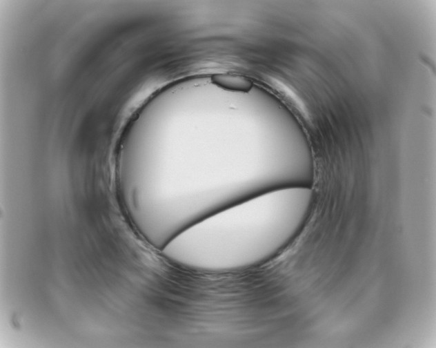 X0000096401419200801240953