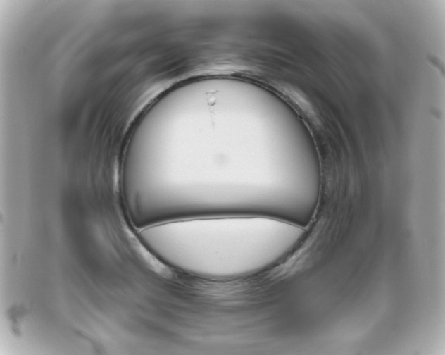 X0000096401420200801240953