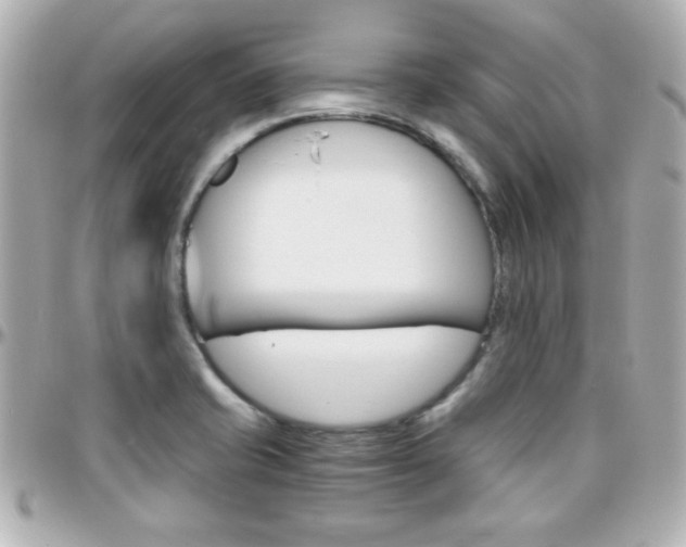 X0000096401421200801240954