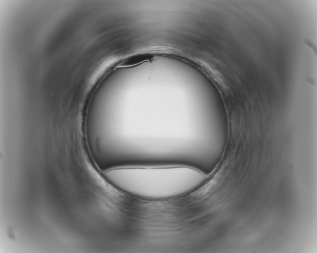 X0000096401422200801240954
