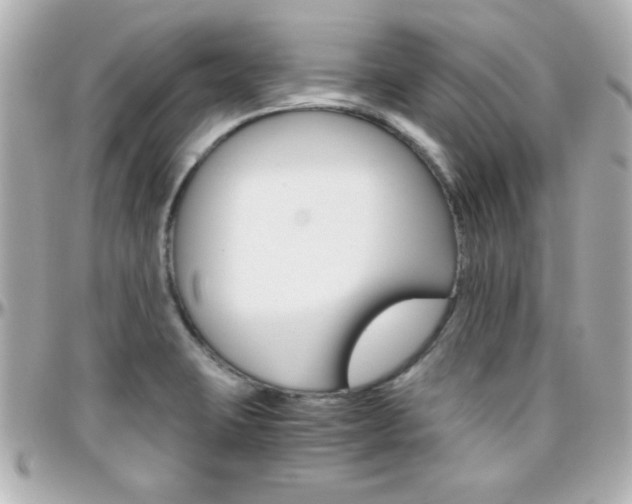 X0000096401423200801240954