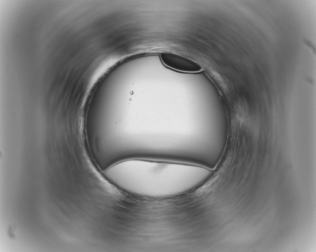 X0000096401424200801240954