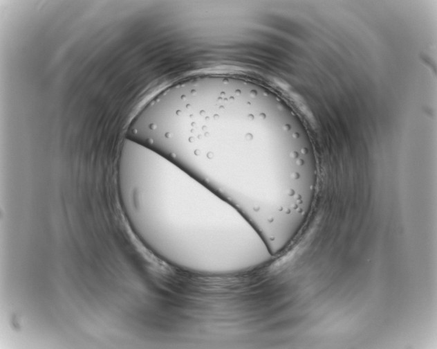 X0000096401425200801240954