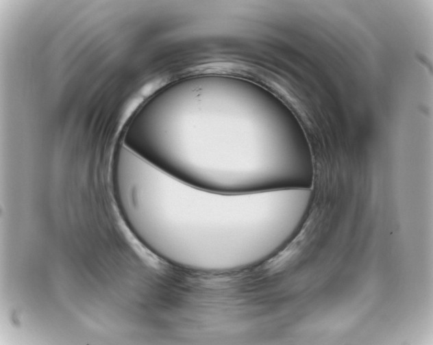 X0000096401426200801240954