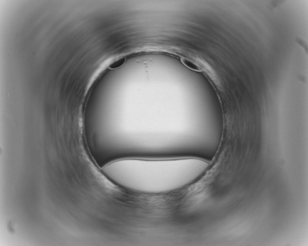 X0000096401428200801240954