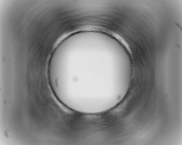 X0000096401429200801240954