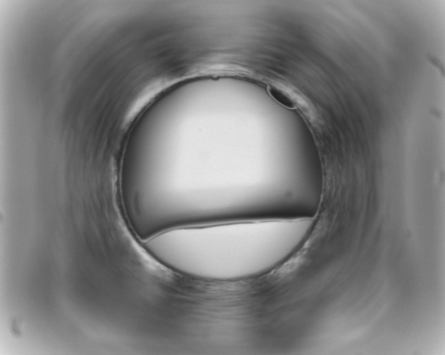 X0000096401430200801240954