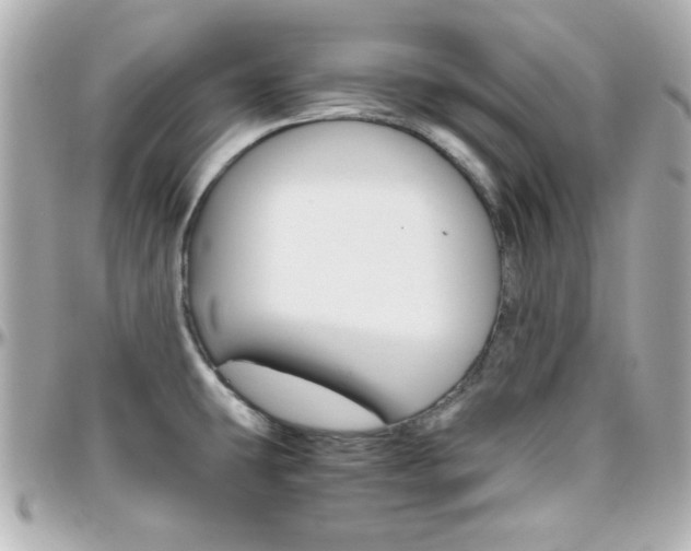 X0000096401431200801240954