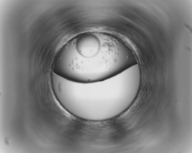 X0000096401432200801240954