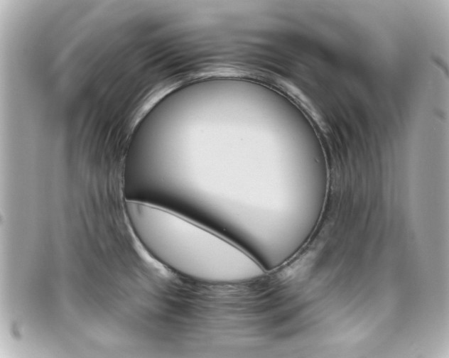X0000096401433200801240954