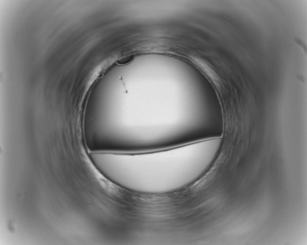 X0000096401434200801240954