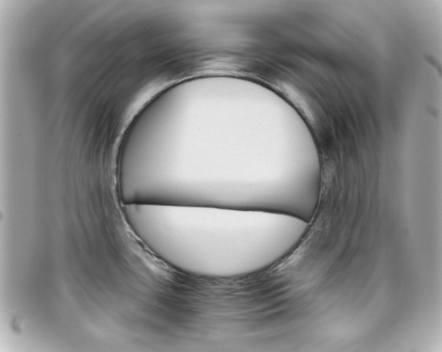 X0000096401435200801240954