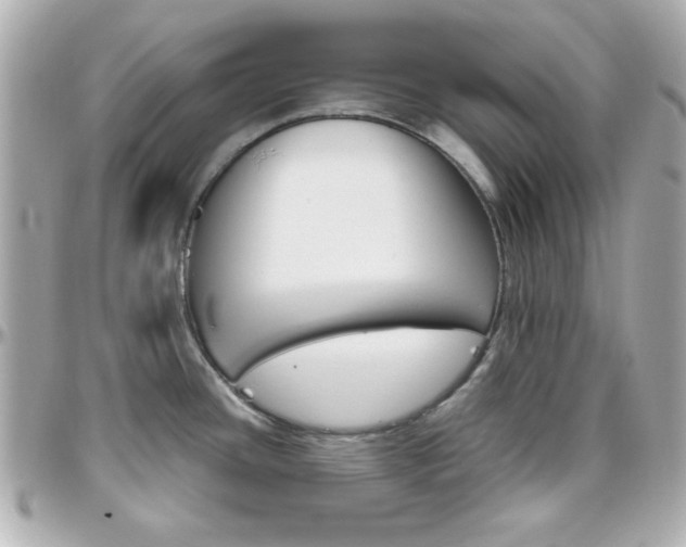 X0000096401436200801240954