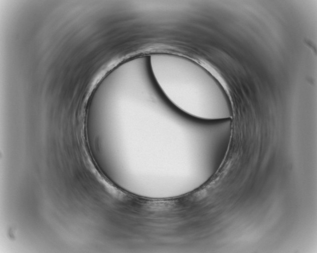 X0000096401437200801240954