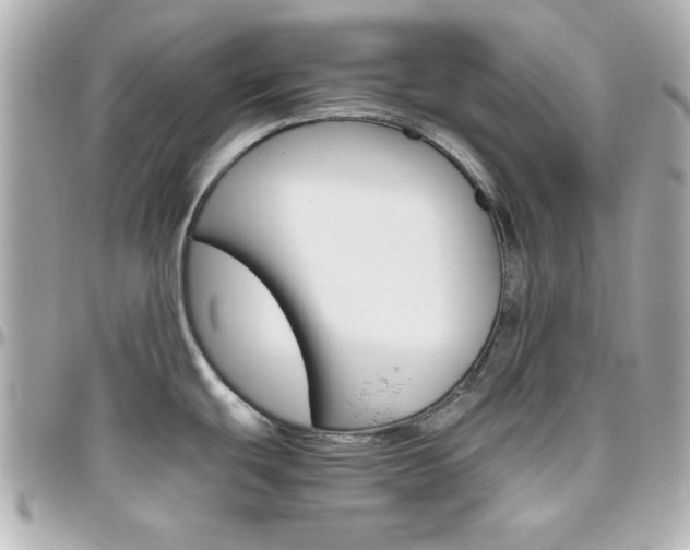 X0000096401439200801240954