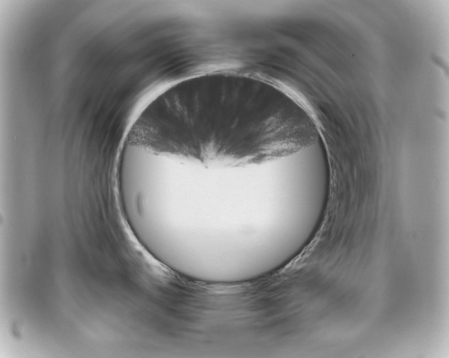 X0000096401440200801240954