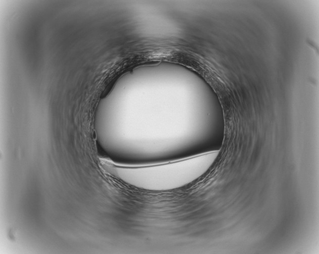 X0000096401441200801240953