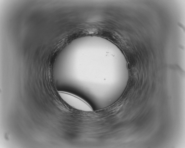 X0000096401442200801240953