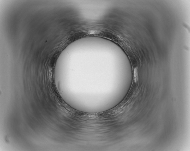 X0000096401443200801240953