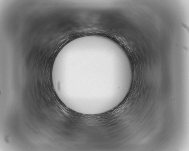 X0000096401444200801240953