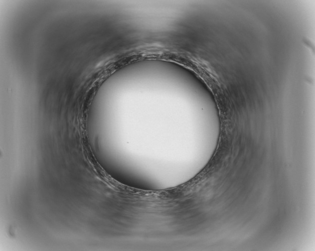 X0000096401445200801240953