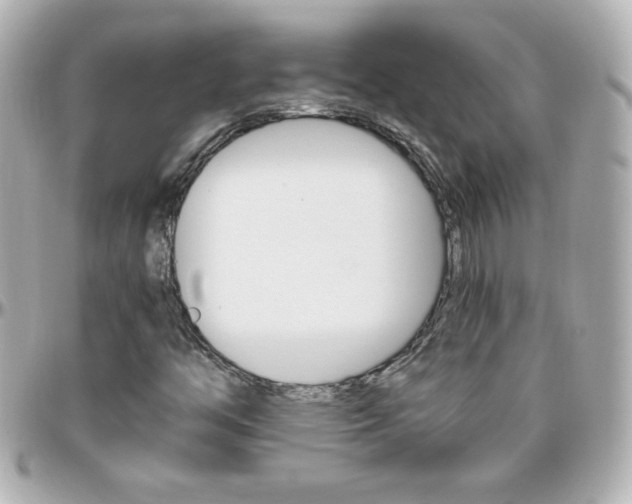 X0000096401446200801240953