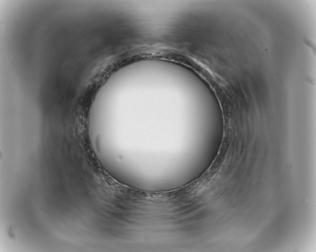 X0000096401447200801240953