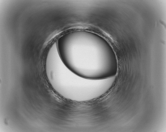 X0000096401448200801240953