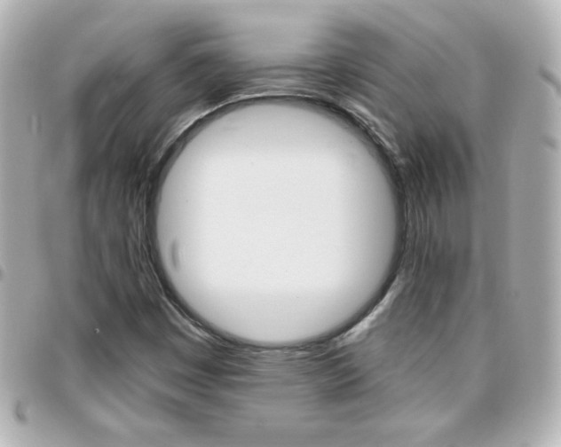 X0000096401449200801240953