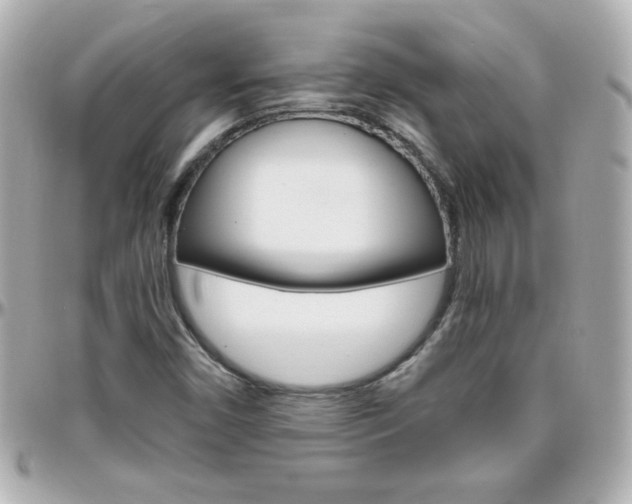X0000096401450200801240953
