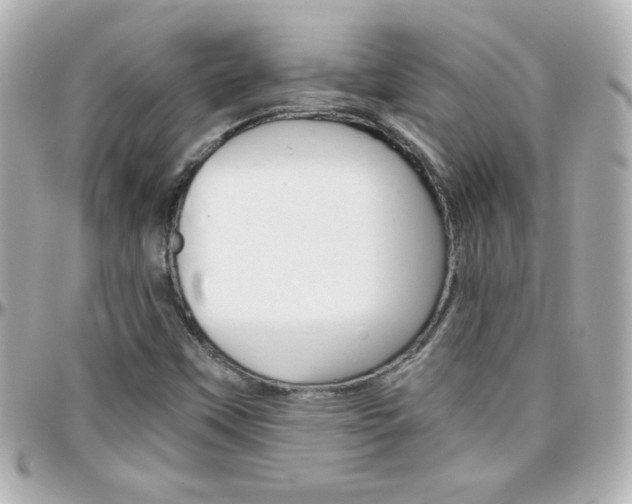 X0000096401451200801240953