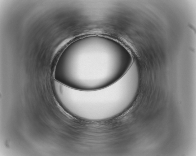 X0000096401452200801240953