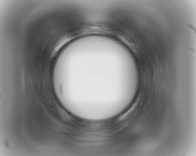 X0000096401453200801240953