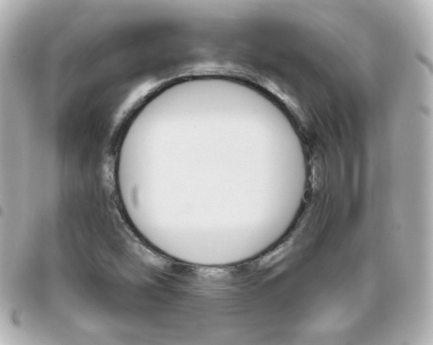 X0000096401454200801240953