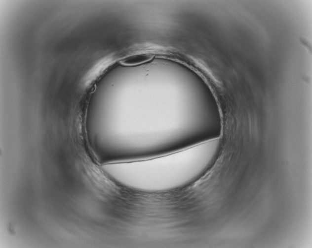 X0000096401455200801240953