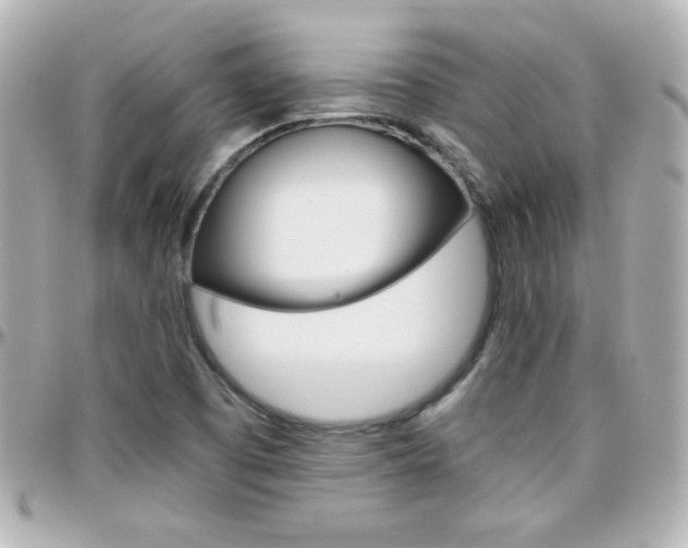 X0000096401457200801240953