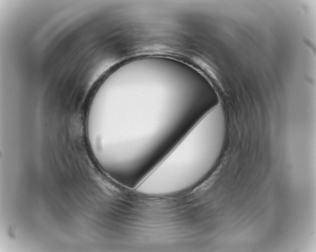 X0000096401458200801240953